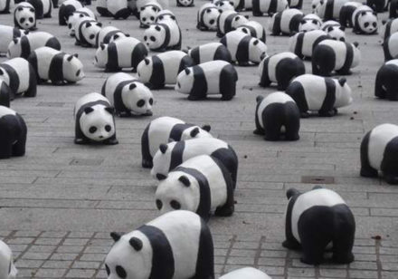 Introducing Google Panda To The Core Algorithm